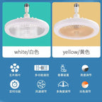 50b995d3-d07a-442b-a850-cd525b5c321b
