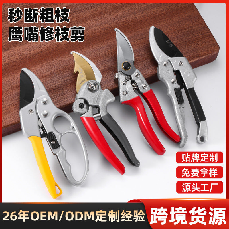01fffc23-93a2-4f9e-a6fd-5acb985827b6