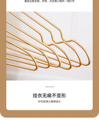 d3731bef-83ac-403c-b54c-3d54e950e588