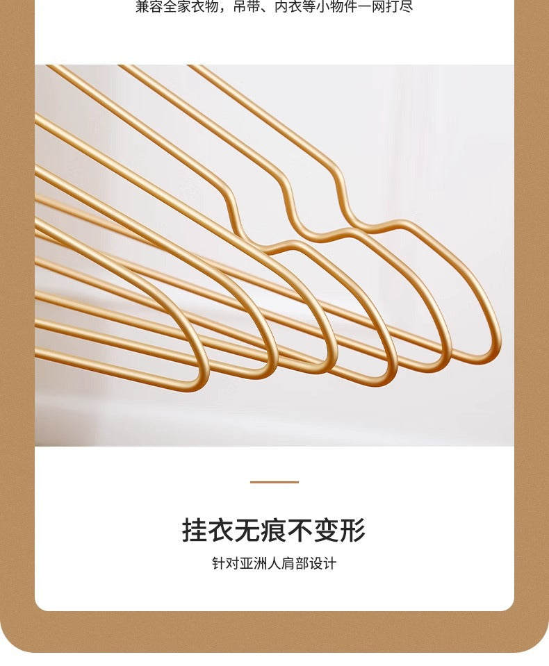 d3731bef-83ac-403c-b54c-3d54e950e588